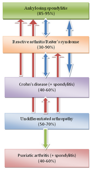 discovery_medicine_no_64_alan_ebringer_figure_1