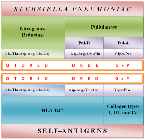 discovery_medicine_no_64_alan_ebringer_figure_2