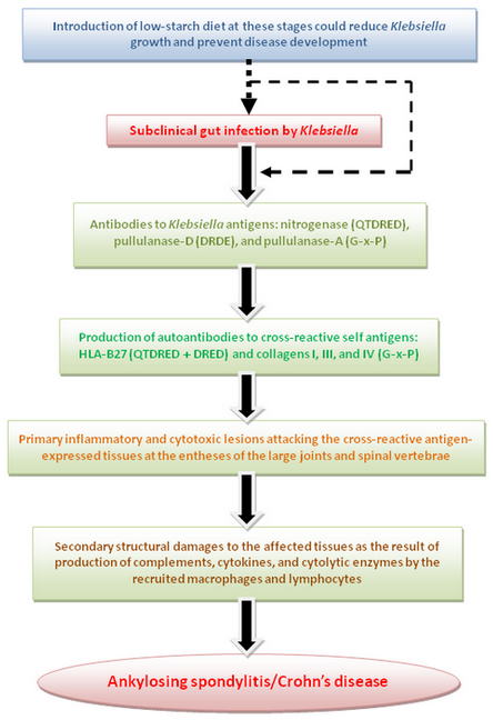 discovery_medicine_no_64_alan_ebringer_figure_3